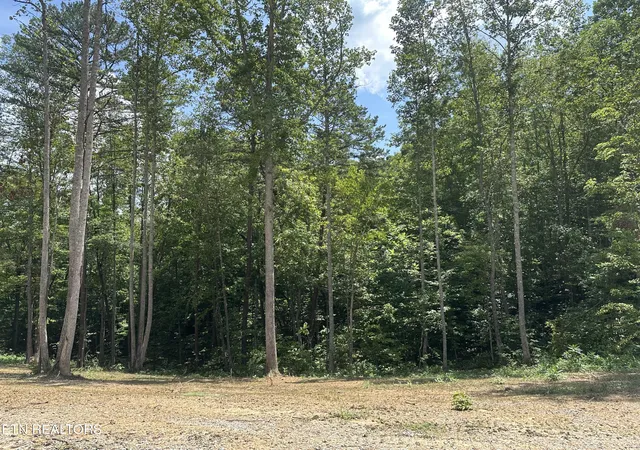 Homes for sale in Pioneer, TN | 143 Elk Ridge Ln, Pioneer, TN 37847 | MLS# 1309851