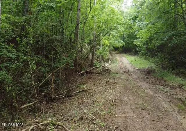 Photo 3 of Land for sale at 171 Acres Scenic River Rd, Madisonville, TN 37354 | MLS# 1311595 | Listing updated on 2026-07-28