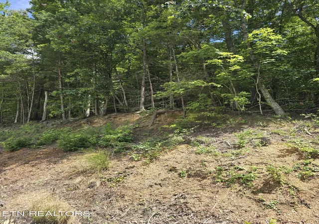 Photo 3 of Land for sale at Ashley Ln, Jellico, TN 37762 | MLS# 1310428 | Listing updated on 2026-09-25