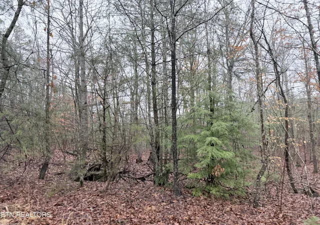 2nd image of 000000 Hwy 68, Tellico Plains, TN 37385 | MLS# 1329238