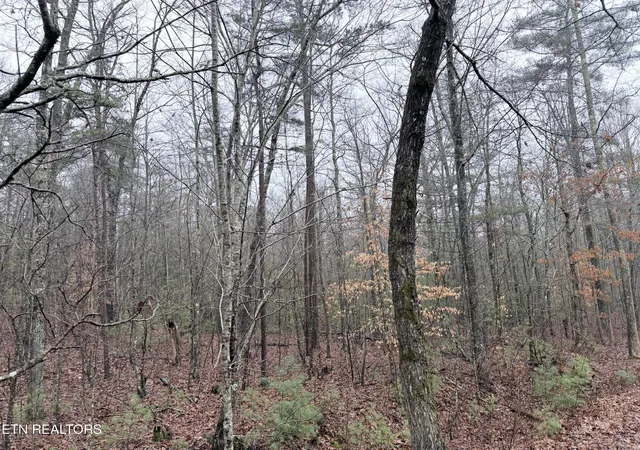 3rd image of 000000 Hwy 68, Tellico Plains, TN 37385 | MLS# 1329238