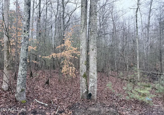 4th image of 000000 Hwy 68, Tellico Plains, TN 37385 | MLS# 1329238