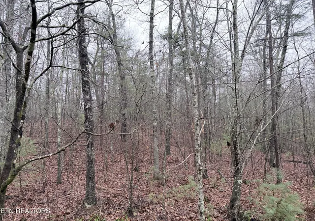 5th image of 000000 Hwy 68, Tellico Plains, TN 37385 | MLS# 1329238