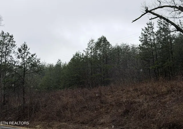 9th image of 000000 Hwy 68, Tellico Plains, TN 37385 | MLS# 1329238