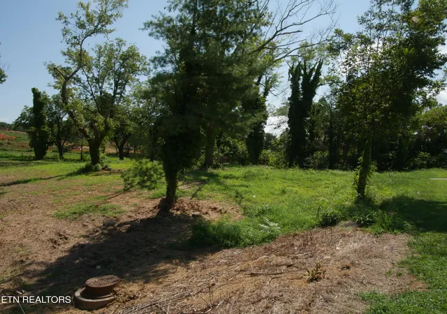 5th image of 1735 Hwy 411, Vonore, TN 37885 | MLS# 1311697