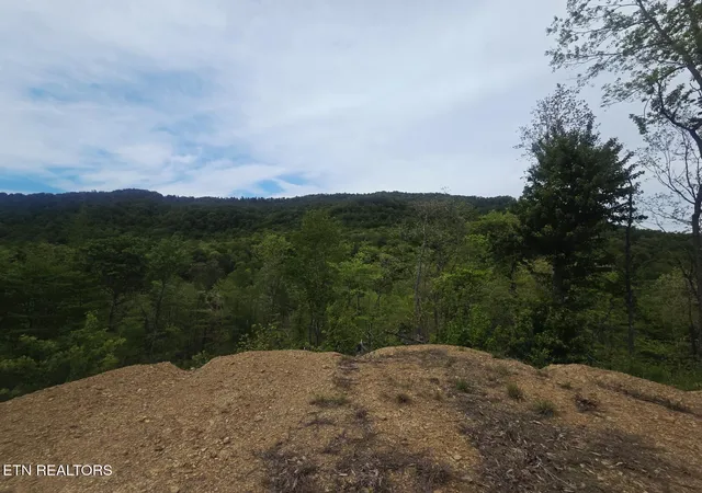 Homes for sale in Oneida, TN | 0 Stanley Creek Rd, Oneida, TN 37841 | MLS# 1312145