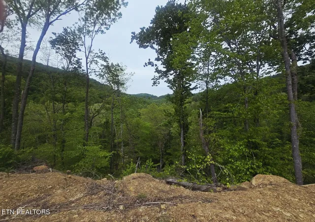 Homes for sale in Oneida, TN | 0 Stanley Creek Rd, Oneida, TN 37841 | MLS# 1312145
