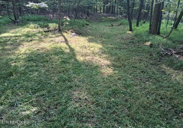 23rd image of 44 Acres Sheep Bluff Rd, Cookeville, TN 38506 | MLS# 1312236