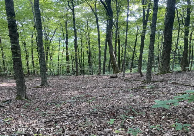 3rd image of 44 Acres Sheep Bluff Rd, Cookeville, TN 38506 | MLS# 1312236