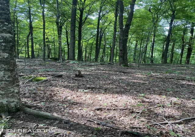 4th image of 44 Acres Sheep Bluff Rd, Cookeville, TN 38506 | MLS# 1312236