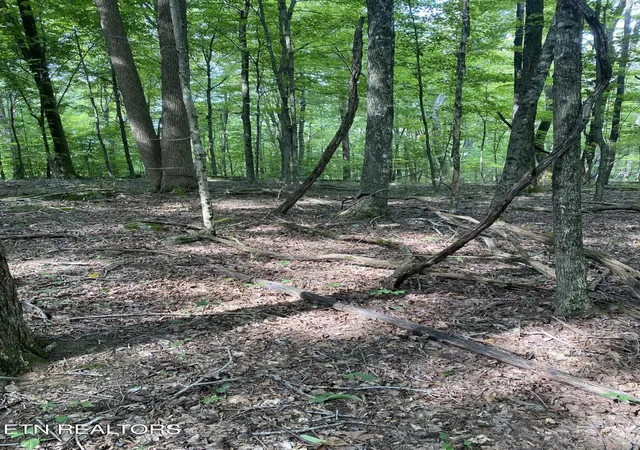 5th image of 44 Acres Sheep Bluff Rd, Cookeville, TN 38506 | MLS# 1312236