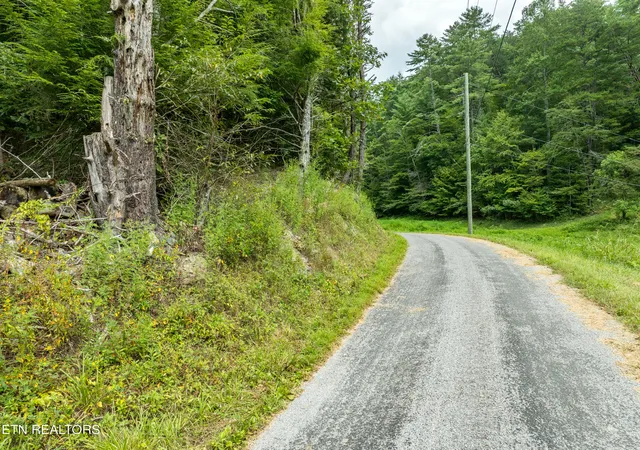 1st image of 288 Oosterneck Rd, Tellico Plains, TN 37385 | MLS# 1313384