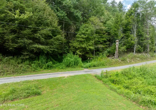 3rd image of 288 Oosterneck Rd, Tellico Plains, TN 37385 | MLS# 1313384
