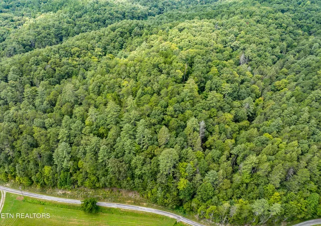 4th image of 288 Oosterneck Rd, Tellico Plains, TN 37385 | MLS# 1313384