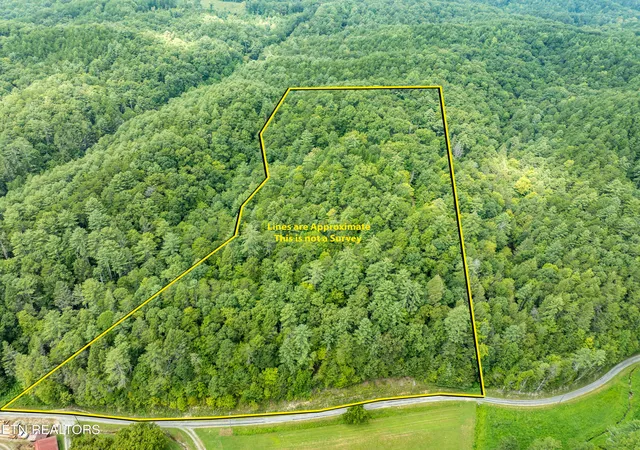 5th image of 288 Oosterneck Rd, Tellico Plains, TN 37385 | MLS# 1313384