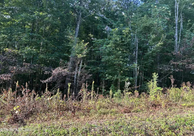 Homes for sale in Jamestown, TN | Panther Branch Road, Jamestown, TN 38556 | MLS# 1312723