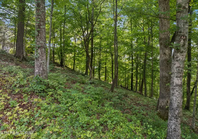 Homes for sale in Kingston, TN | Lot 228 -River Bend Dr, Kingston, TN 37763 | MLS# 1312836