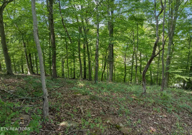 Homes for sale in Kingston, TN | Lot 228 -River Bend Dr, Kingston, TN 37763 | MLS# 1312836