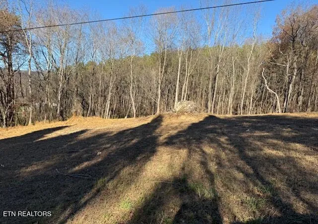 Photo 2 of Land for sale at Lot 22 Moon Cir, Spring City, TN 37381 | MLS# 1313328 | Listing updated on 2026-10-08