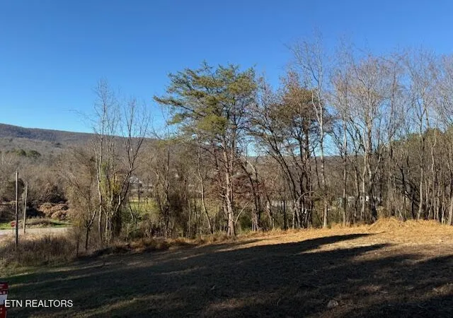 Photo 3 of Land for sale at Lot 22 Moon Cir, Spring City, TN 37381 | MLS# 1313328 | Listing updated on 2026-10-08