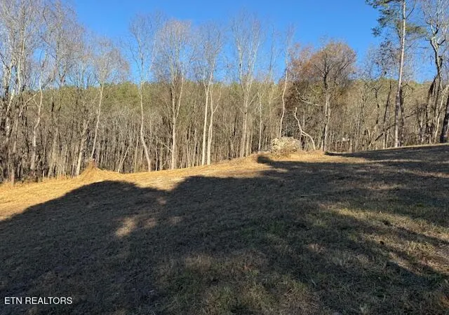 Photo 4 of Land for sale at Lot 22 Moon Cir, Spring City, TN 37381 | MLS# 1313328 | Listing updated on 2026-10-08