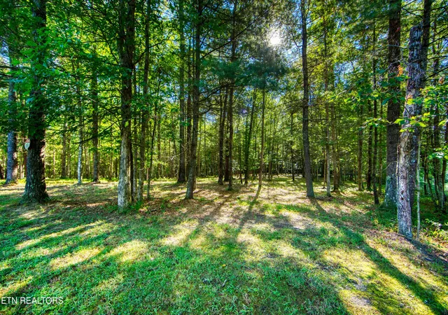 2nd image of 218 Lonesome Pine Ln, Jamestown, TN 38556 | MLS# 1313458