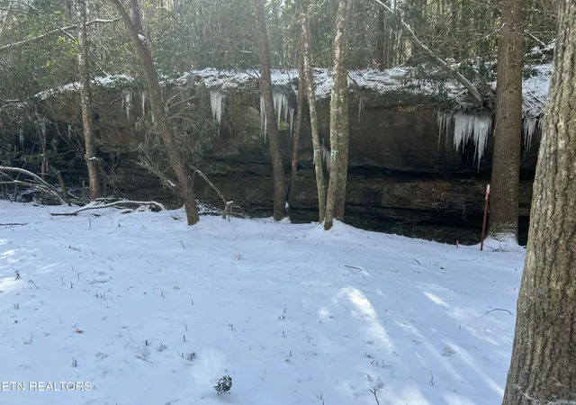Photo 3 of Sale Pending at 218 Lonesome Pine Ln, Jamestown, TN 38556 | MLS# 1313458 | Listing updated on 2026-06-09