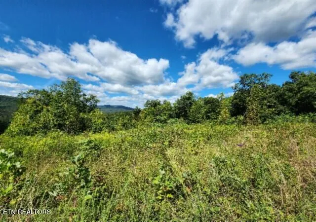 1st image of 1434ac Tomahawk Rd, Jamestown, TN 38556 | MLS# 1313549