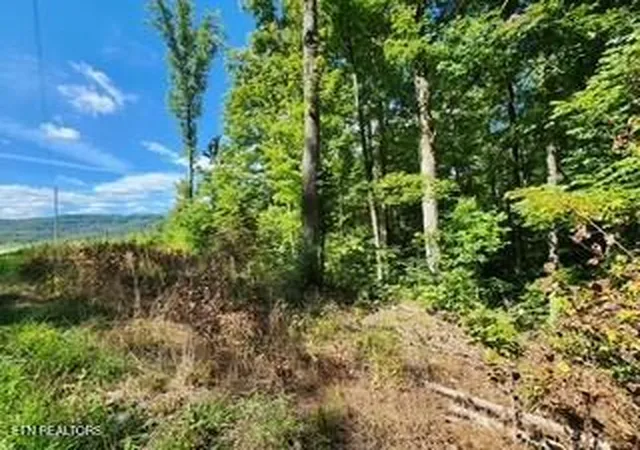 3rd image of 1434Ac Tomahawk Rd, Jamestown, TN 38556 | MLS# 1313549