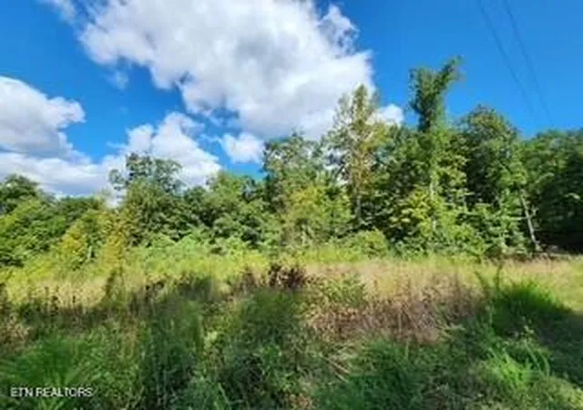 4th image of 1434Ac Tomahawk Rd, Jamestown, TN 38556 | MLS# 1313549