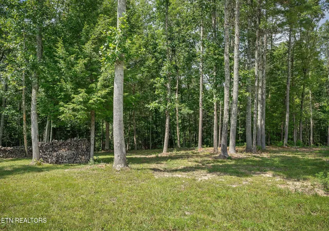 Photo 3 of Land for sale at 515 Ferry Bnd Tr, Crossville, TN 38571 | MLS# 1313691 | Listing updated on 2026-08-31