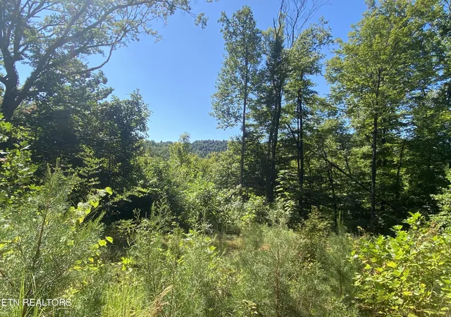 1st image of Double Top Rd, Jamestown, TN 38556 | MLS# 1313730