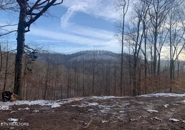 3rd image of Double Top Rd, Jamestown, TN 38556 | MLS# 1313730