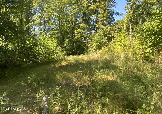 5th image of Double Top Rd, Jamestown, TN 38556 | MLS# 1313730