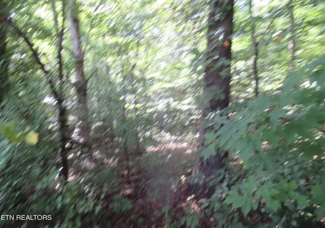 Photo 3 of Sale Pending at E Governor John Sevier Hwy, Knoxville, TN 37920 | MLS# 1313840 | Listing updated on 2026-08-31