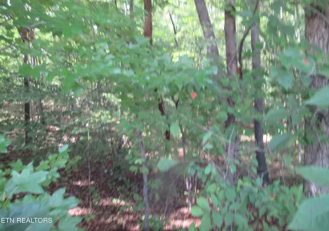 4th image of E Governor John Sevier Hwy, Knoxville, TN 37920 | MLS# 1313840