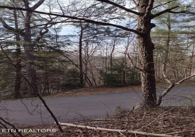 15th image of Lot 0000 Ogle Dr, Pigeon Forge, TN 37863 | MLS# 1314572