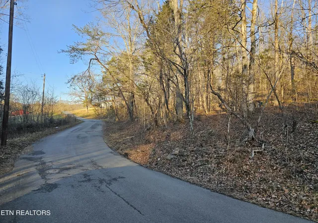 Homes for sale in Speedwell, TN | Blue Springs Rd, Speedwell, TN 37870 | MLS# 1313948