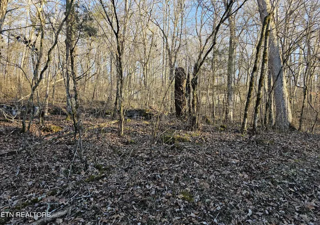 Homes for sale in Speedwell, TN | Blue Springs Rd, Speedwell, TN 37870 | MLS# 1313948