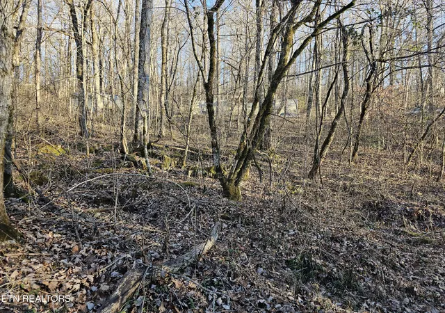 Homes for sale in Speedwell, TN | Blue Springs Rd, Speedwell, TN 37870 | MLS# 1313948