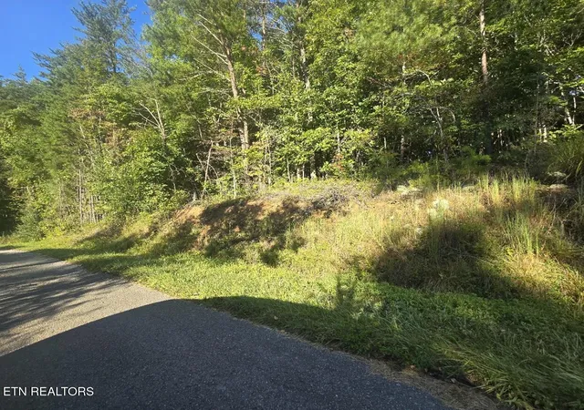Photo 3 of Land for sale at Lot 25 26 Summit Dr, Oneida, TN 37841 | MLS# 1314647 | Listing updated on 2026-09-28