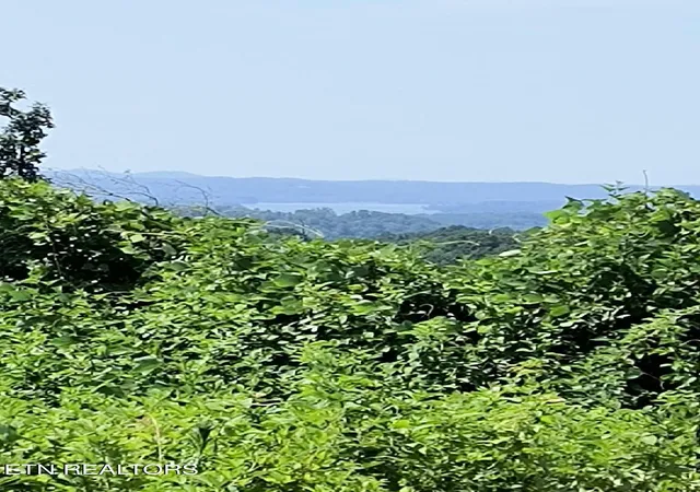 1st image of Ashe Cabin Hollow Rd, Harriman, TN 37748 | MLS# 1315047