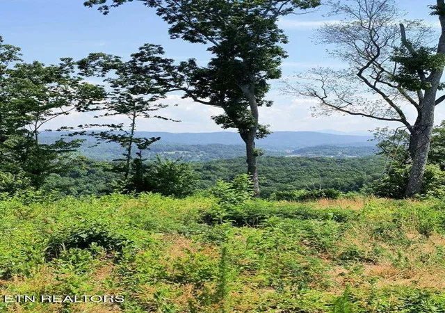 2nd image of Ashe Cabin Hollow Rd, Harriman, TN 37748 | MLS# 1315047
