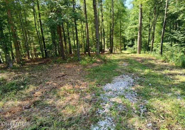 3rd image of Ashe Cabin Hollow Rd, Harriman, TN 37748 | MLS# 1315047