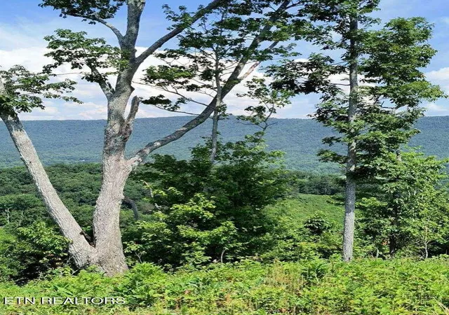 5th image of Ashe Cabin Hollow Rd, Harriman, TN 37748 | MLS# 1315047