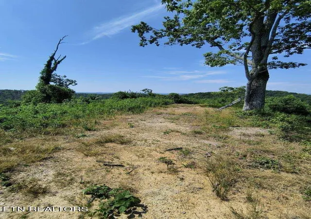 8th image of Ashe Cabin Hollow Rd, Harriman, TN 37748 | MLS# 1315047