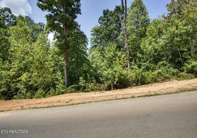 2nd image of 411 Travellers Way, Lenoir City, TN 37771 | MLS# 1315787