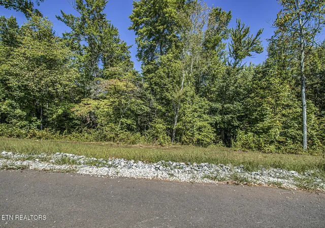 Photo 2 of Land for sale at 167 Canter Way, Lenoir, TN 37771 | MLS# 1315936 | Listing updated on 2025-09-24