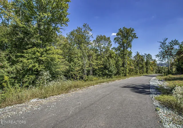 Photo 3 of Land for sale at 167 Canter Way, Lenoir, TN 37771 | MLS# 1315936 | Listing updated on 2025-09-24