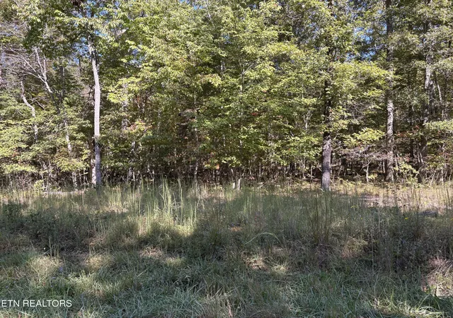 1st image of 1231 Natchez Tr, Crossville, TN 38572 | MLS# 1315974